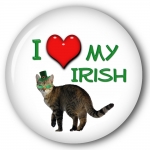 "I Love my Irish" Cat pictured